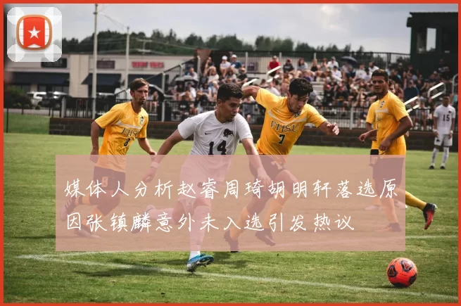 媒体人分析赵睿周琦胡明轩落选原因张镇麟意外未入选引发热议